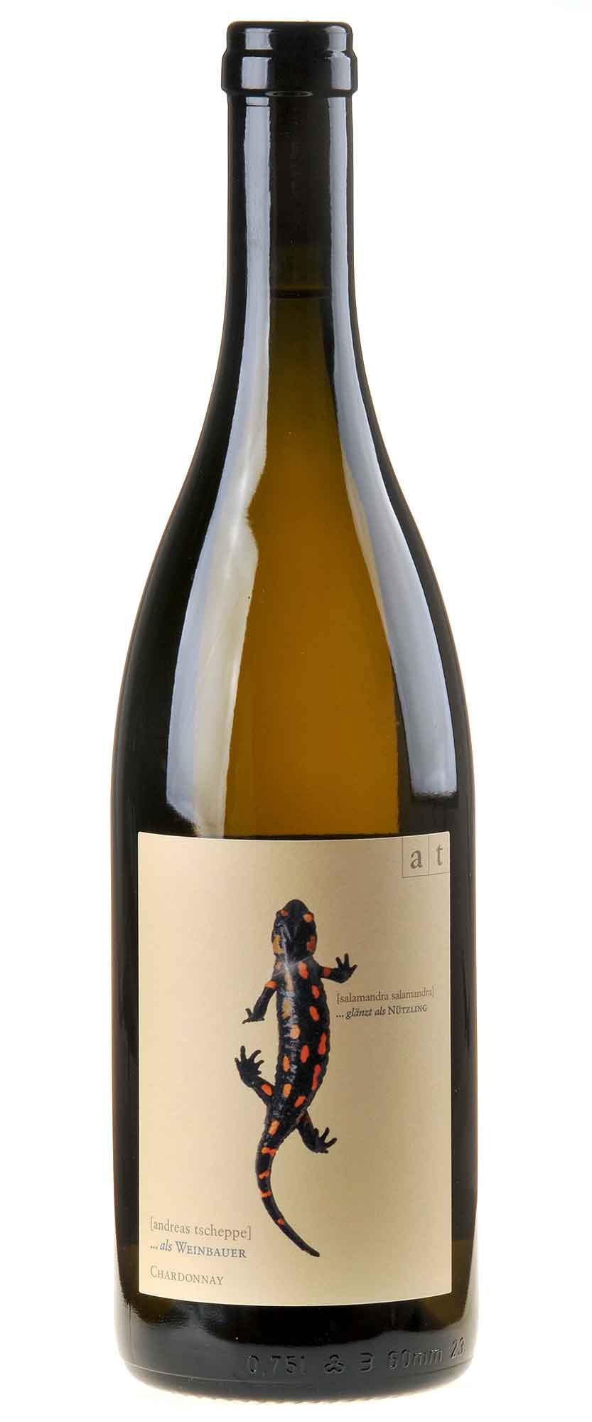 Bild Andreas Tscheppe Salamander Bio 2022