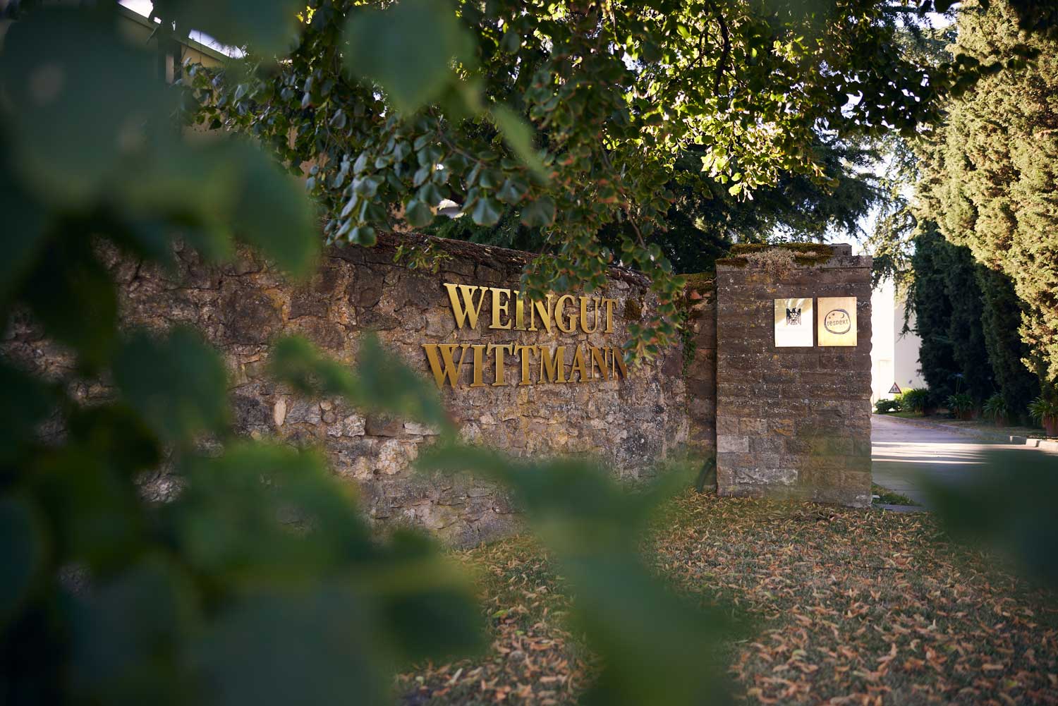 Wine-Dining mit Katlijn Janas von Weingut Wittmann in Gottfried Pachers Zu Tisch