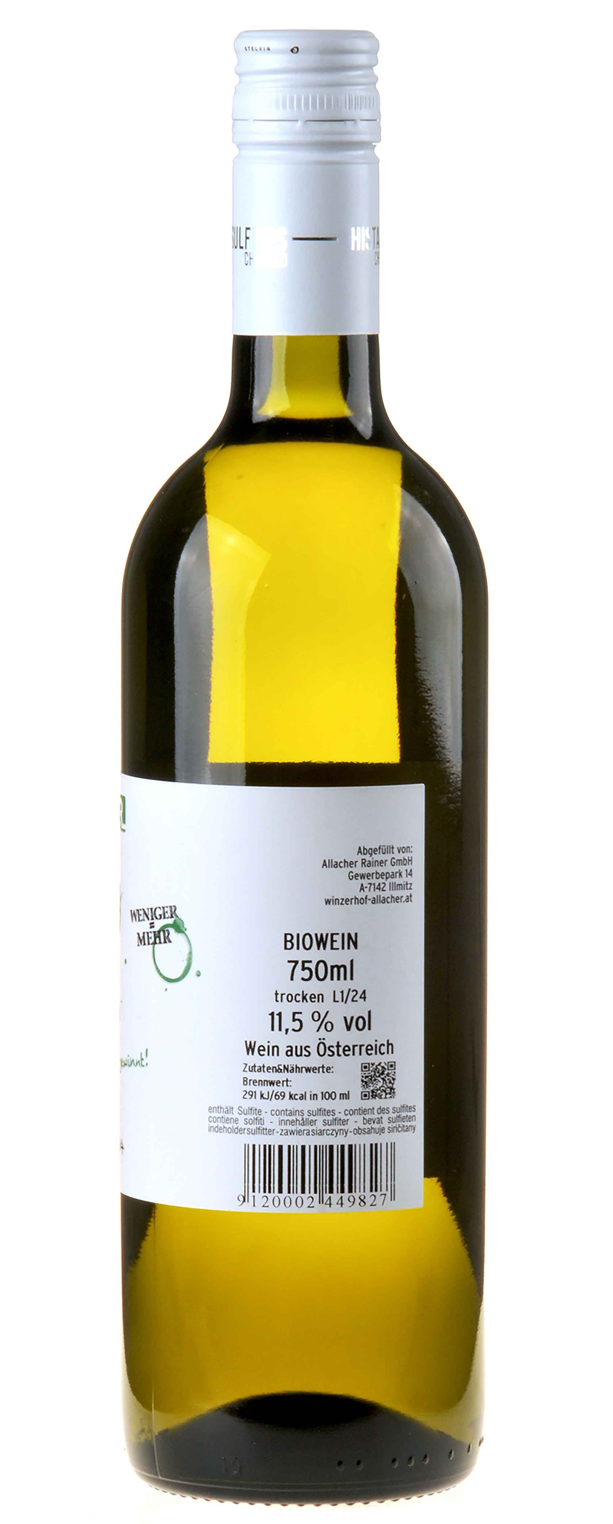 Winzerhof Allacher Grüner Veltliner trocken Bio 2024 Seitenetikett