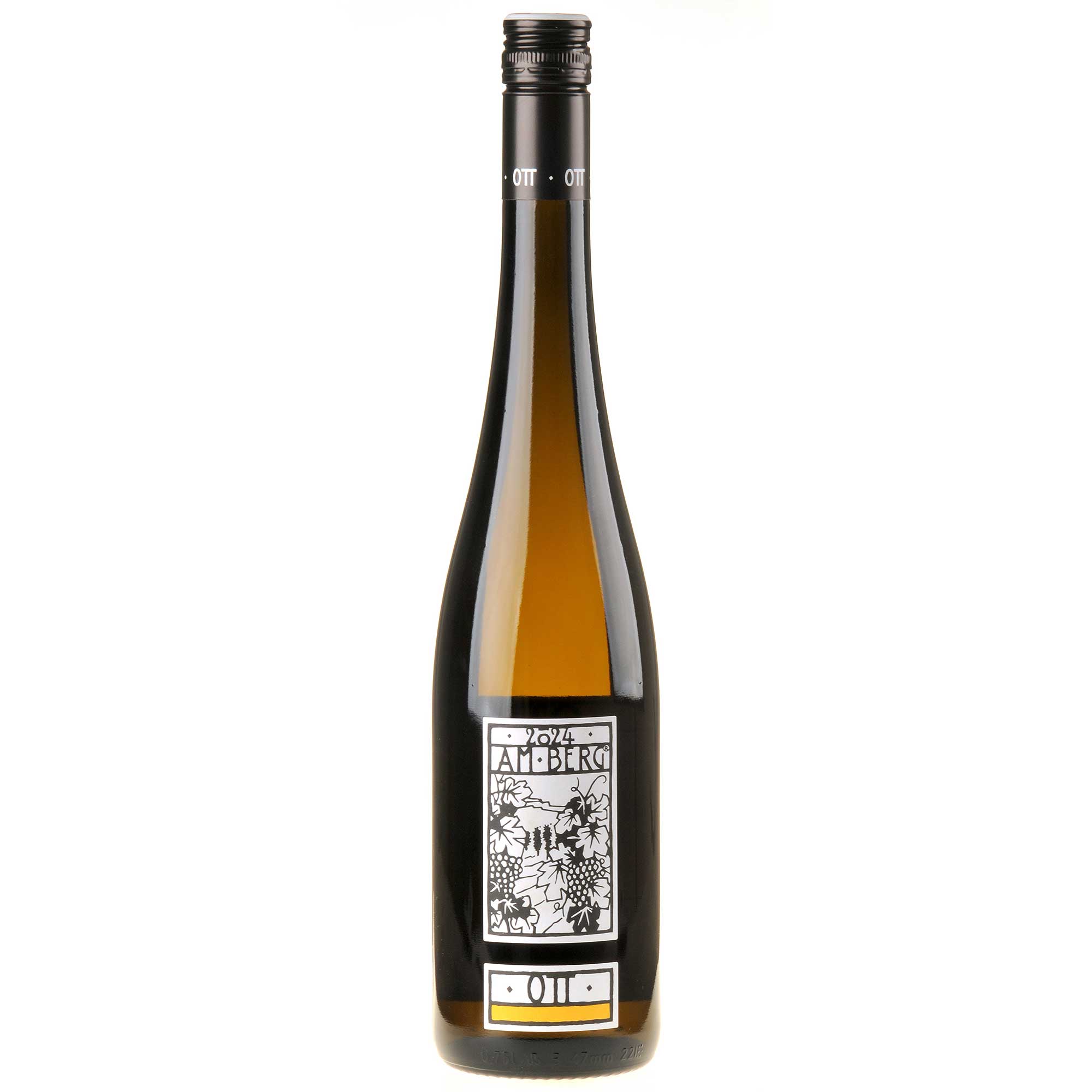 Bernhard Ott Grüner Veltliner am Berg Bio 2024