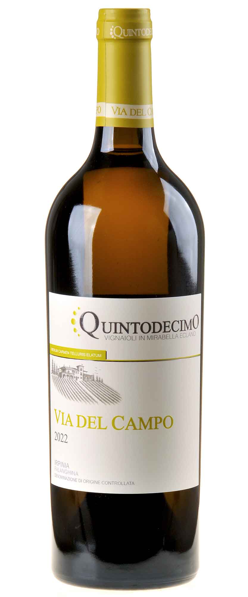 Quintodecimo Falanghina Vio Del Campo 2022