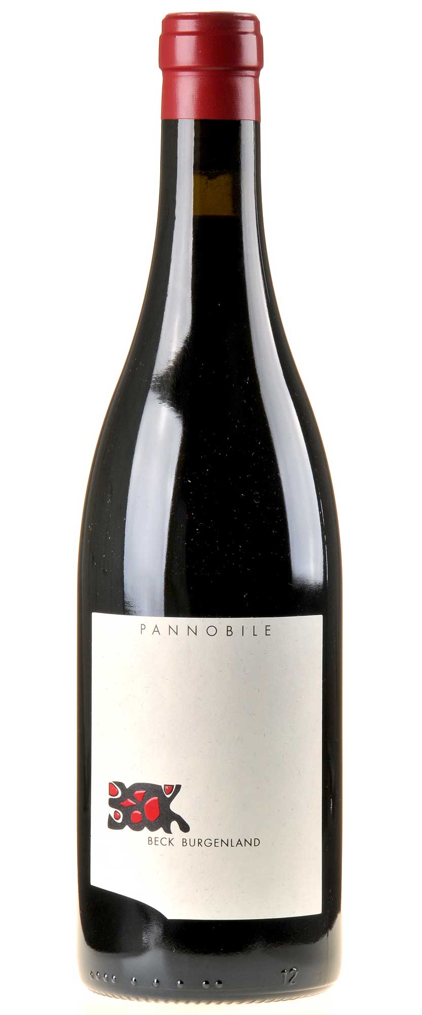 Judith Beck Pannobile Bio 2015