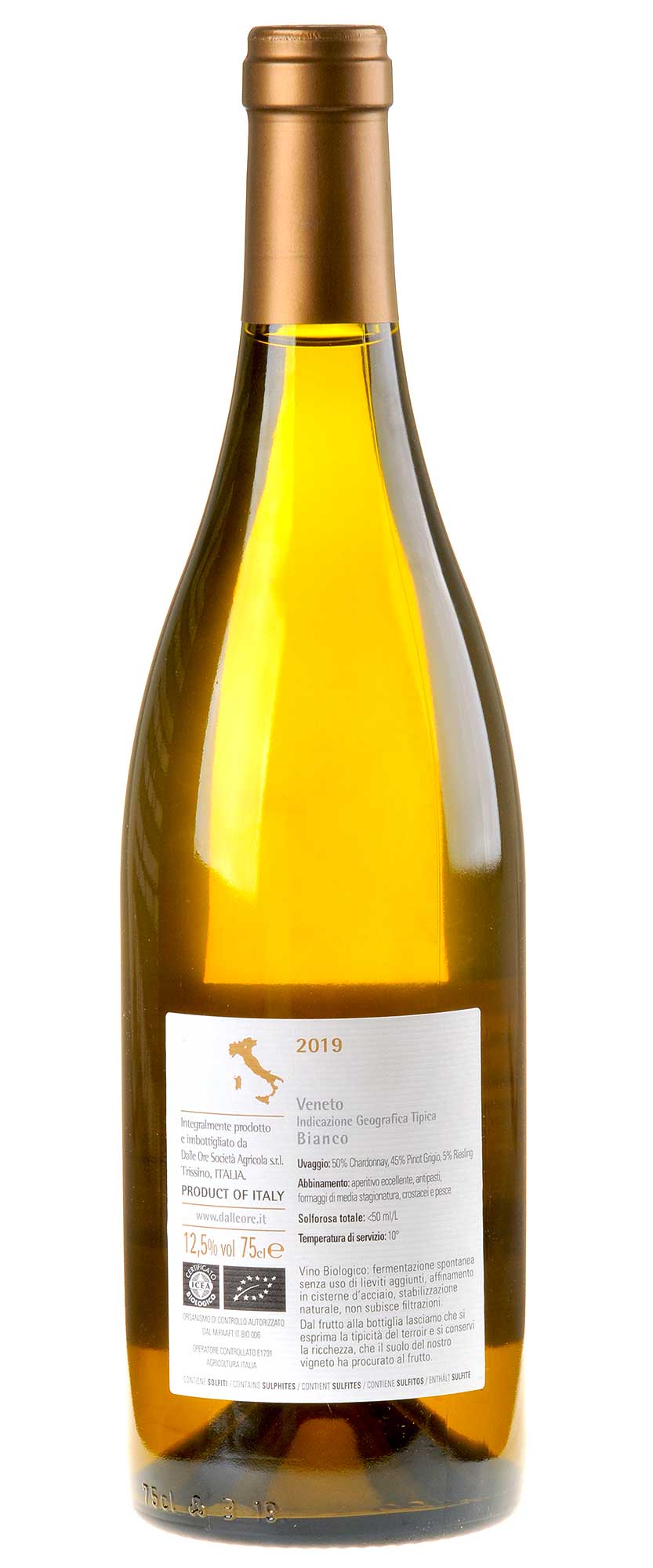 Dalle Ore Mappale 77 IGT Bio 2019 Rücketikette