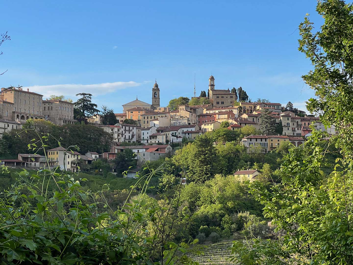 Originale Italia | Großer Weinabend mit 12 italienischen Weinen