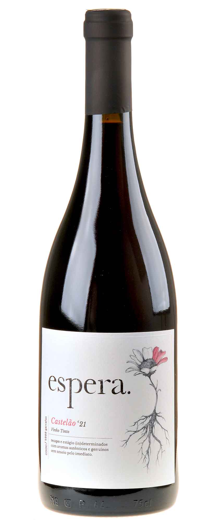 Espera Castelão 2021